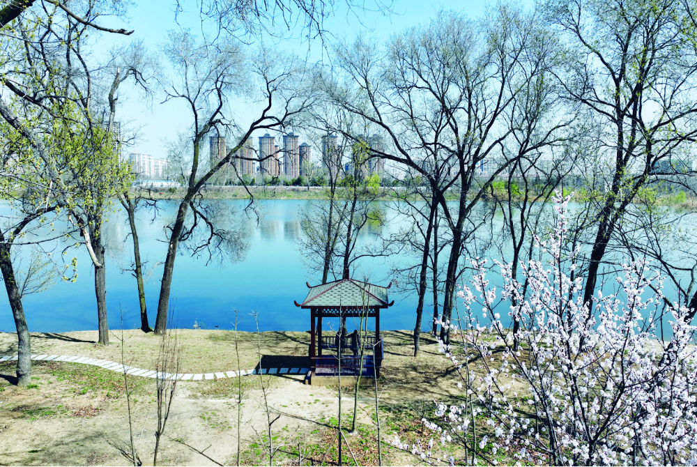 鴛鴦湖春景